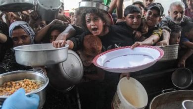 صورة استشهاد 40 فلسطينيا بنيران إسرائيلية في قطاع غزة 