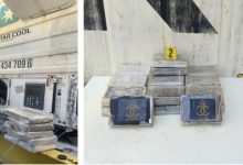 صورة إجهاض عملية تهريب 25 كيلوغراما من الكوكاكيين بميناء طنجة المتوسط