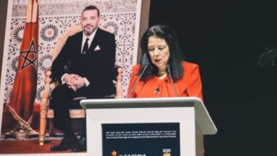 صورة الذكاء الاصطناعي رافعة للسيادة الرقمية ولن يُعوّض الكفاءات البشرية