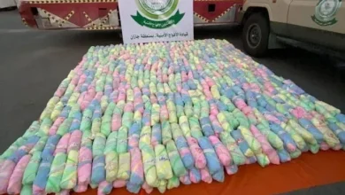 صورة دوريات الأفواج الأمنية بمنطقة جازان تُحبط تهريب 30 كيلوجرامًا من القات