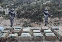 صورة القبض على مخالفين لنظام أمن الحدود لتهريبهما 180 كيلوجرامًا من القات بجازان