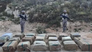 صورة القبض على مخالفين لنظام أمن الحدود لتهريبهما 180 كيلوجرامًا من القات بجازان