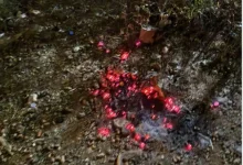صورة ضبط مواطن لإشعاله النار في أراضي الغطاء النباتي بمنطقة حائل
