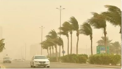 صورة طقس المملكة الثلاثاء.. حار إلى شديد الحرارة ورياح نشطة على عدة مناطق