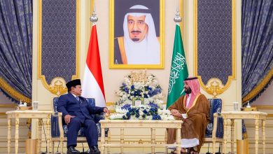 صورة ولي العهد ورئيس جمهورية إندونيسيا يعقدان جلسة مباحثات رسمية