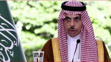 صورة وزير الخارجية يبحث القضايا الإقليمية والعلاقات المشتركة مع نظيره المصري
