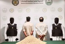 صورة ضبط 411,546 قرصًا من مادة الإمفيتامين المخدر مخبأة في أحشاء أغنام بالمنطقة الشرقية