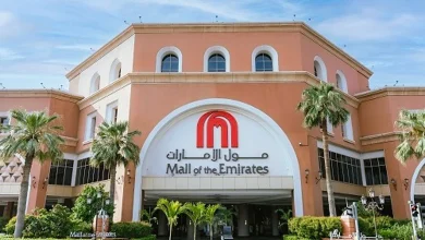 صورة دبي عاصمة الرفاهية.. من قصور ڤيرساتشي إلى أطباق ميشلان
