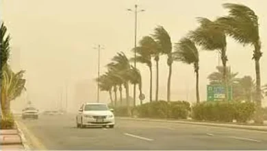 صورة طقس الإثنين.. رياح نشطة مثيرة للأتربة والغبار على عدة مناطق