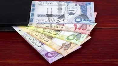 صورة سعر الريال مقابل الجنيه المصري والعملات العربية اليوم الإثنين 1211447