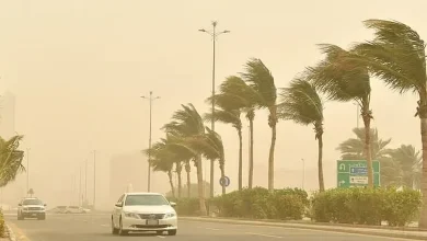 صورة رياح شديدة على منطقة حائل