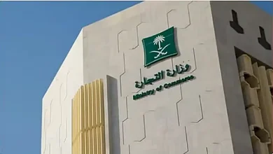صورة نمو قياسي في سجلات قطاع البيانات الضخمة والتحليل بنسبة 48%