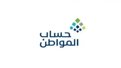 صورة هل يؤثر تغيير الآيبان على صرف دعم حساب المواطن؟.. البرنامج يجيب