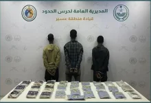 صورة القبض على 8 مخالفين لتهريبهم المخدرات بمنطقتي عسير وجازان