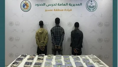 صورة القبض على 8 مخالفين لتهريبهم المخدرات بمنطقتي عسير وجازان