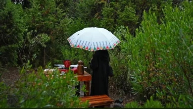 صورة أمطار الجوزاء تبهج زوار عسير.. ولوحات الضباب تستقبلهم