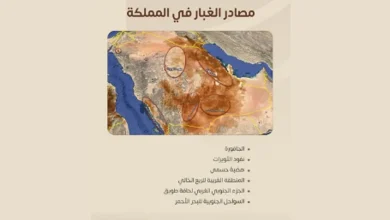 صورة “المركز الإقليمي للعواصف” يكشف أبرز مناطق ومصادر تكوُّن الغبار في المملكة