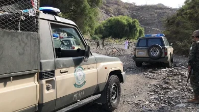 صورة القبض على شخص لترويجه 25 كيلوجرامًا من القات في عسير