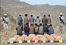 صورة حرس الحدود بعسير يقبض على 13 مخالفًا لتهريبهم 169 كيلوجرامًا من القات