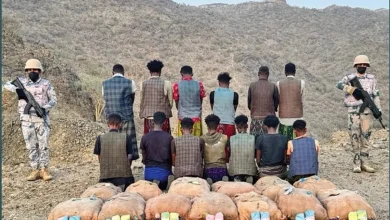 صورة حرس الحدود بعسير يقبض على 13 مخالفًا لتهريبهم 169 كيلوجرامًا من القات