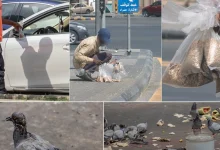 صورة أمانة العاصمة المقدسة تحث على عدم إلقاء الخبز على الأرصفة