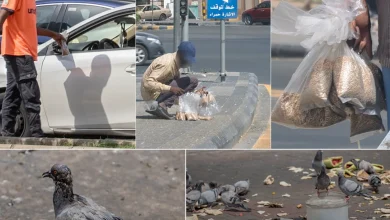 صورة أمانة العاصمة المقدسة تحث على عدم إلقاء الخبز على الأرصفة