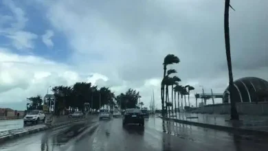 صورة أمطار رعدية ورياح مثيرة للأتربة.. توقعات حالة الطقس اليوم الأربعاء 2111447 في المملكة