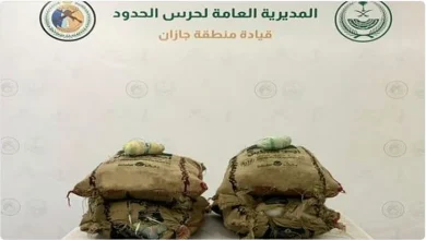 صورة إحباط تهريب 13 كيلوجراما من نبات القات بمنطقة جازان