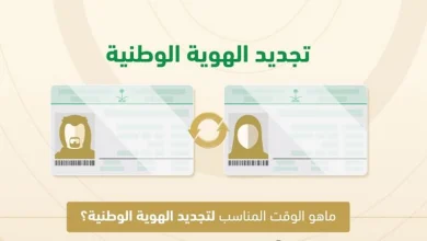 صورة ما هو الوقت المناسب لتجديد بطاقة الهوية الوطنية؟.. «الأحوال المدنية» تجيب