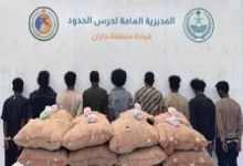صورة حرس الحدود بجازان يقبض على 9 مخالفين لتهريبهم 320 كيلوجرامًا من القات
