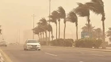 صورة طقس الاثنين.. ارتفاع بدرجات الحرارة ورياح مثيرة للأتربة والغبار على عدة مناطق