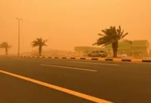 صورة عوالق ترابية وأتربة مثارة على منطقة الباحة
