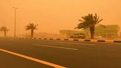 صورة عوالق ترابية وأتربة مثارة على منطقة الباحة