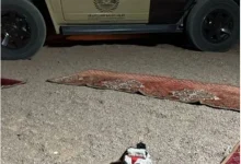 صورة ضبط مواطن لإشعاله النار في غير الأماكن المخصصة لها بمنطقة حائل