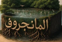 صورة «الغطاء النباتي» يدشّن الهوية البصرية لليوم الدولي لصون النظام الإيكولوجي لغابات المانجروف