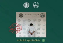 صورة القبض على شخص لترويجه الإمفيتامين المخدر بمنطقة الحدود الشمالية