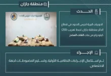 صورة إحباط تهريب 200 كيلوجرام من نبات القات بمنطقة جازان