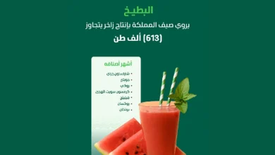 صورة البطيخ يروي صيف المملكة ويغمر أسواق النفع العام بإنتاج يتجاوز 610 آلاف طن
