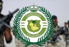 صورة إحباط تهريب مخدرات في جازان والجوف والقبض على 8