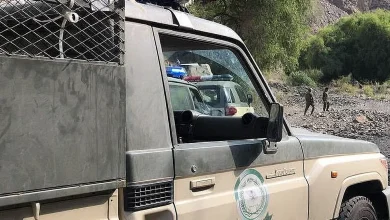 صورة القبض على 4 مخالفين لنظام أمن الحدود بعسير لتهريبهم 25 كيلوجرامًا من القات