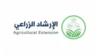 صورة حفظ المنتجات الزراعية بطريقة تفريغ الهواء يحافظ على جودتها وطول فترة صلاحيتها