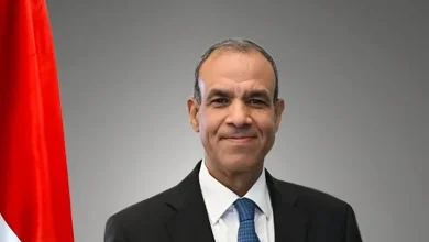 صورة وزير الخارجية المصري يؤكد ضرورة إيجاد أُفق سياسي للتوصل إلى سلام من خلال تنفيذ حلّ الدولتين