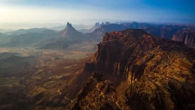 صورة محمية الأمير محمد بن سلمان الملكية تدشن أول فريق مفتشات بيئيات بحرية في الشرق الأوسط