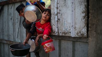 صورة مصر تؤكد رفضها تصفية القضية الفلسطينية عبر مخططات التهجير