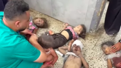 صورة 136 شهيدا منذ الفجر: حرب الإبادة تشتد.. صواريخ الاحتلال والجوع يفتكان بأطفال غزة (صور وفيديو)