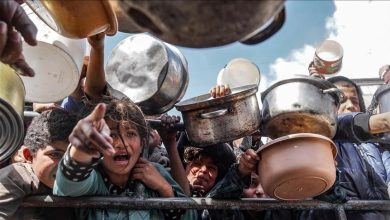 صورة الإعلامي الحكومي يحذر من مقتلة جماعية مرتقبة بحق 100 ألف طفل بغزة خلال أيام