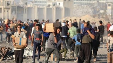 صورة مستشار النمسا يحث “إسرائيل” على السماح بدخول المزيد من المساعدات الإنسانية لغزة