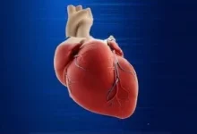 صورة نوع من الدهون يهددك بأمراض القلب والسكتات الدماغية.. إرشادات للوقاية