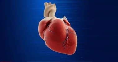 صورة نوع من الدهون يهددك بأمراض القلب والسكتات الدماغية.. إرشادات للوقاية