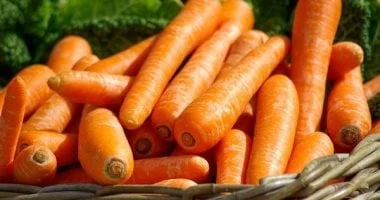 صورة من أين جاءت مقولة الجزر يقوى النظر وما الذي أوضحته الدراسات؟